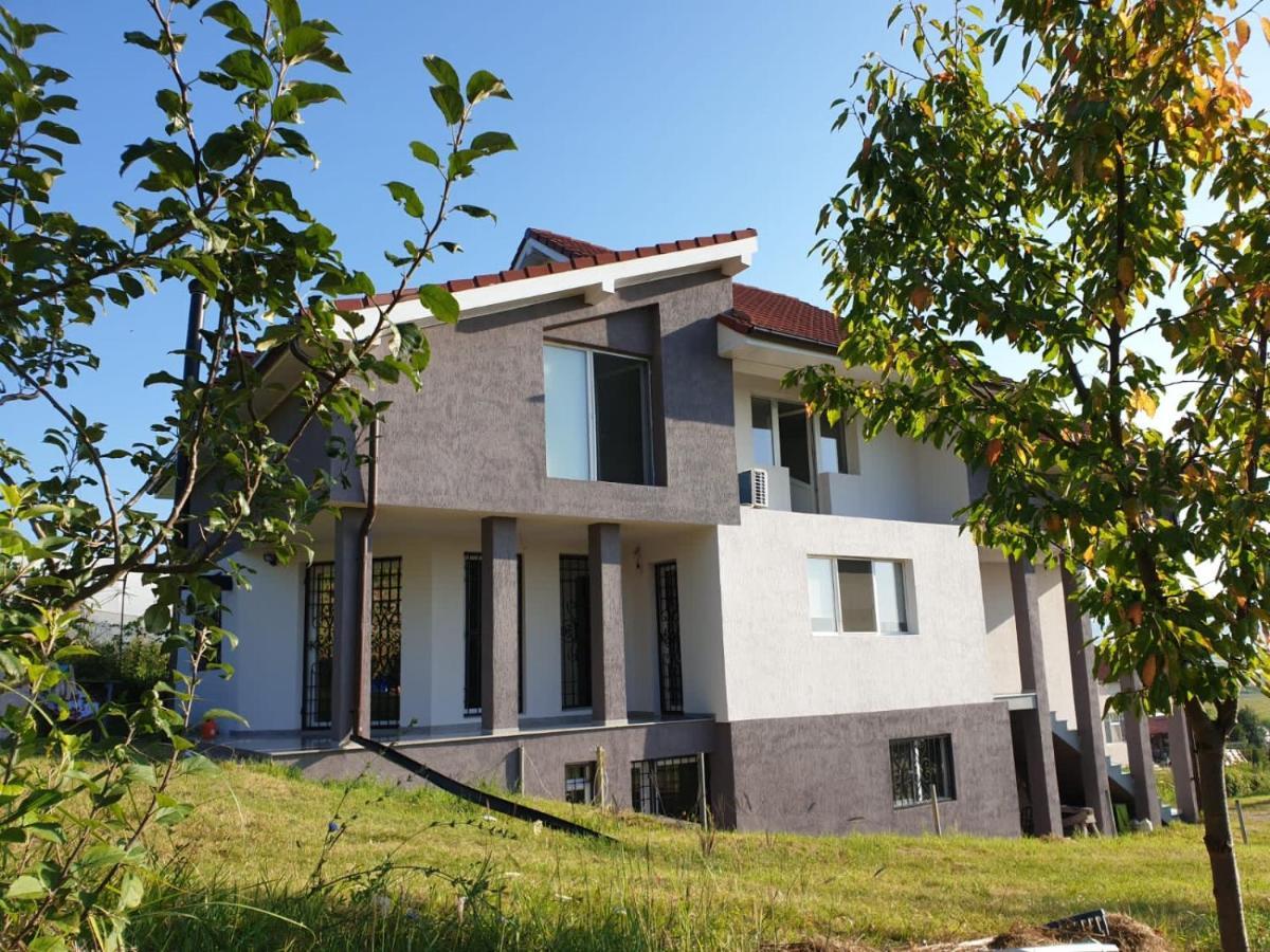 Lidia House Apartman Gyulafehérvár Kültér fotó