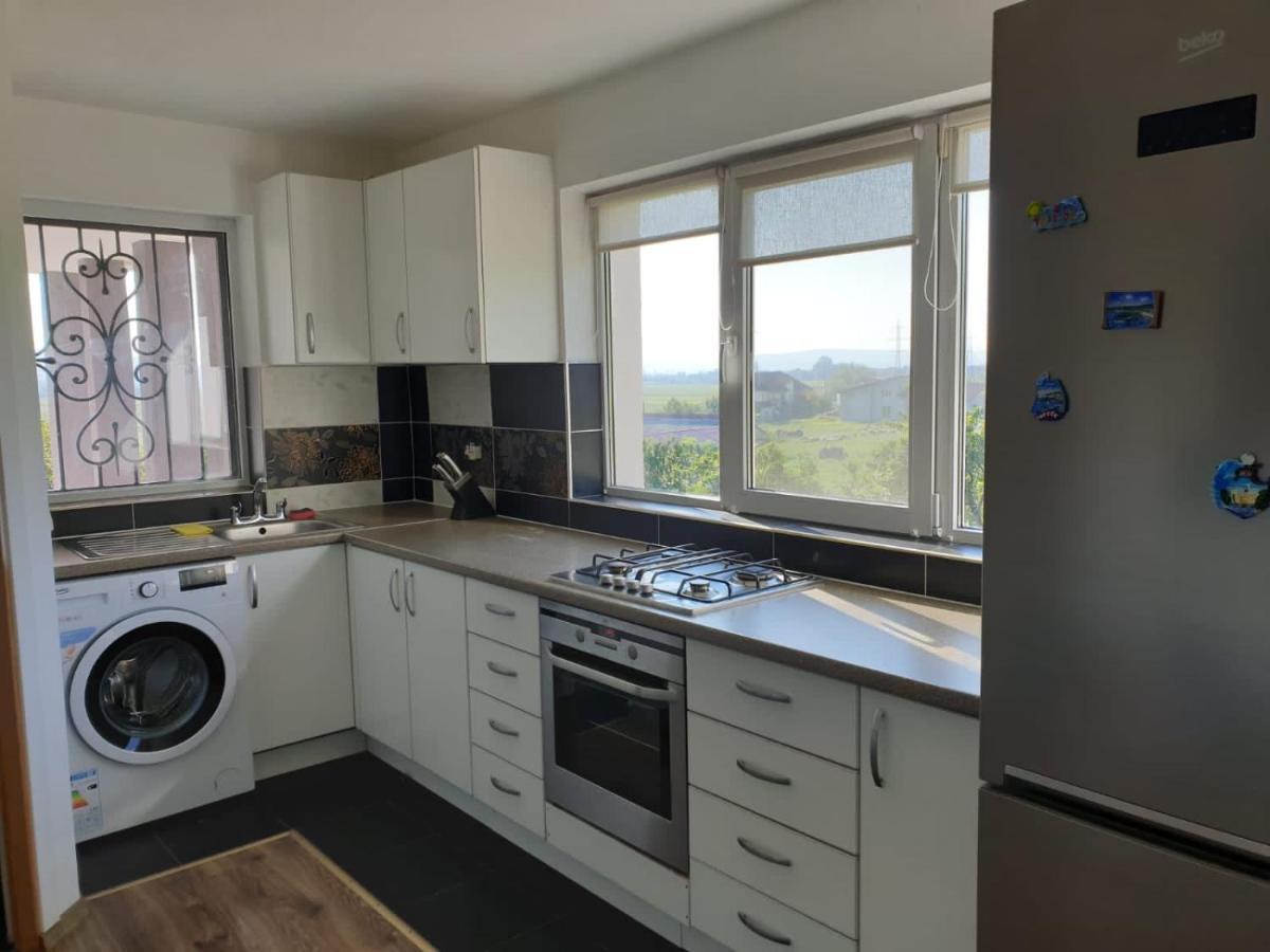 Lidia House Apartman Gyulafehérvár Kültér fotó