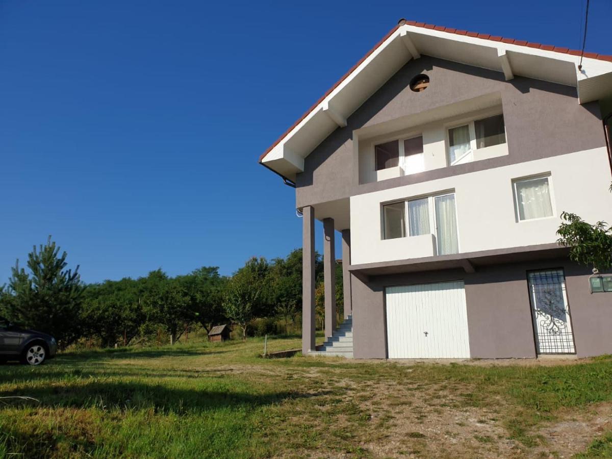 Lidia House Apartman Gyulafehérvár Kültér fotó